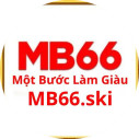 mb66ski avatar